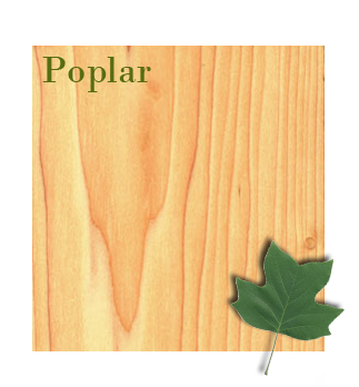poplar hardwood types distribution eastern states united